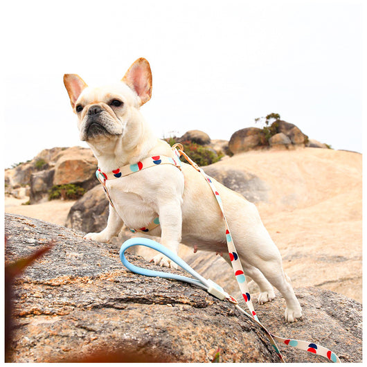 Arnés Pectoral en Y para Perro - Correa de Mascotas Fashion - Image 31
