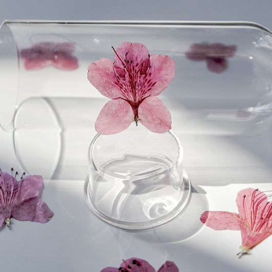 Adorno de Flor de Azalea Deshidratada - Image 3