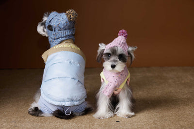 Chaleco Acolchado de Invierno para Perros Pequeños - Teddy, Schnauzer, Bichón - Image 22