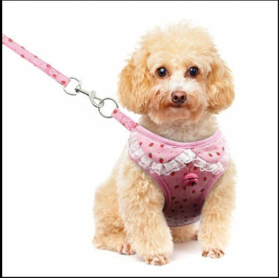 Chaleco Transpirable para Perros - Diseño Cómodo y Elegante - Image 22