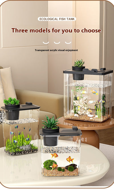 Acuario de Escritorio Pequeño con Paisaje y Vidrio Reforzado - Image 9