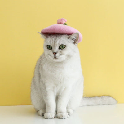Sombrero Floral de Lana Cardada para Mascotas - Image 10