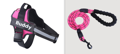 Arnés de Paseo Simple para Mascotas con Correa Ajustable - Image 12