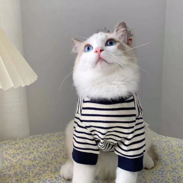 Suéter Gato Dos Bolsillos