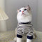 Suéter Gato Dos Bolsillos
