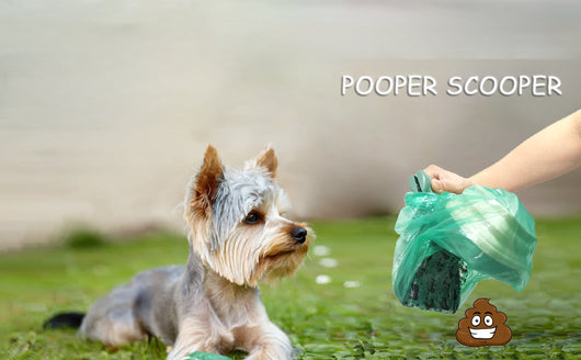 Recogedor de Desechos Portátil para Perros - Pala Compacta con Contenedor y Bolsas - Image 12