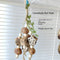 Opp Bagged Carambola Nut Estilo