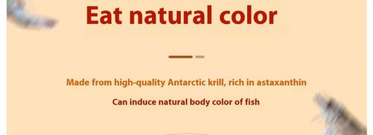 Alimento para Peces Ornamentales con Semáforo de Control - Image 13