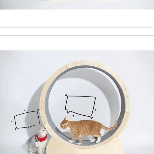 Rodillo Interactivo para Gatos - Juguete de Ejercicio - Image 7