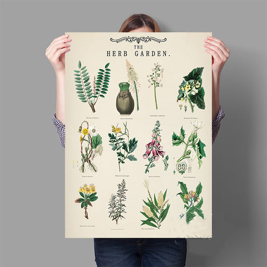 Lámina Vintage de Jardín de Hierbas Aromáticas con Ilustraciones Botánicas Educativas - Image 5