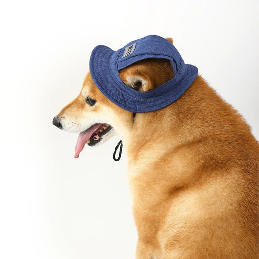 Gorra de Verano Ajustable para Perros Pequeños y Medianos con Agujeros para Orejas - Image 3