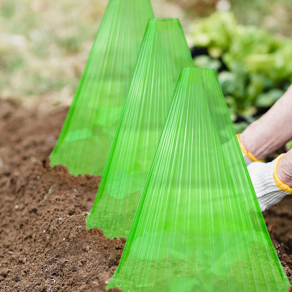 Campana Protectora Cuadrada Reutilizable para Plantas