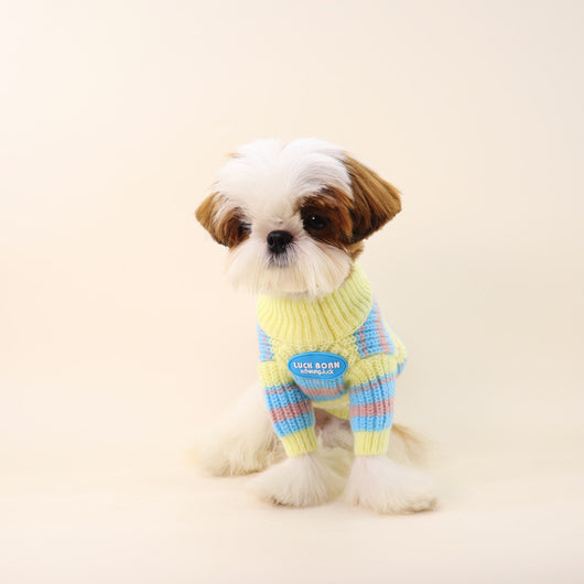 Suéter de Invierno para Perros Pequeños - Abrigo Cálido para Razas Toy - Image 3