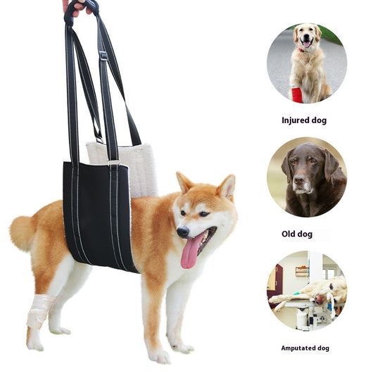 Black adjustable dog rehabilitation training belt with white plush lining on a brown and white Border Collie. - Image 11