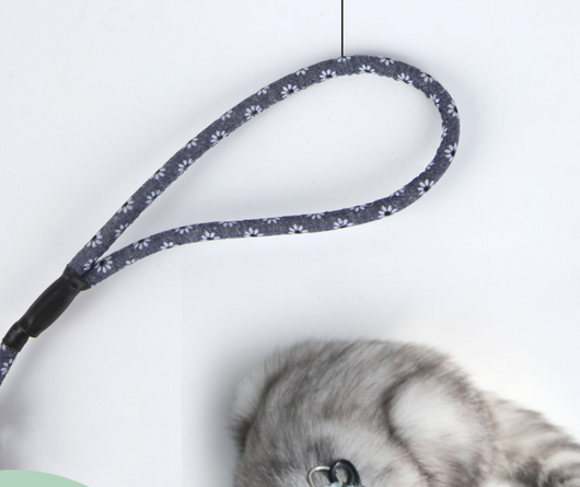 Arnés de Paseo para Gatos con Correa Pectoral - Image 12