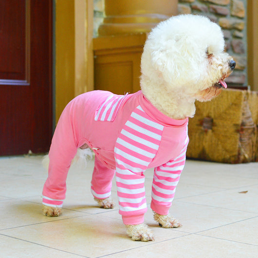 Ropa para Perros Estilo Osito de Cuatro Patas - Image 10