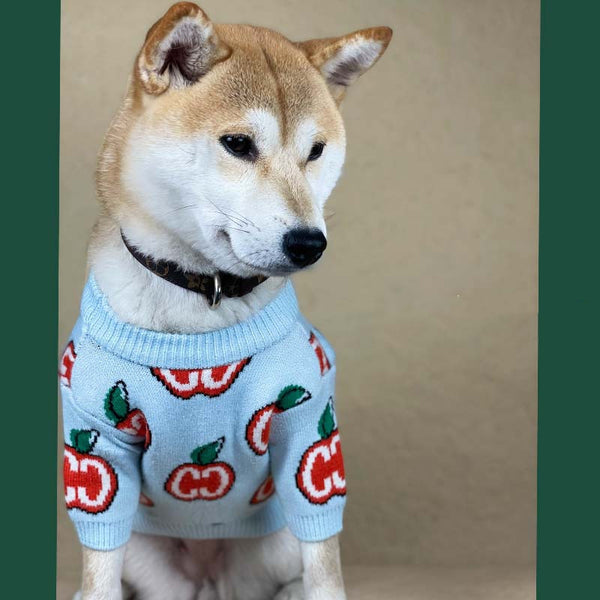Suéter Tejido Grueso para Perros - Abrigo Otoño e Invierno