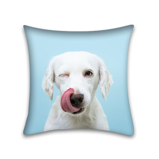 Funda de Almohada para Sofá de Mascota Piel de Durazno Cute Home - Image 23
