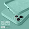 Cian Claro IPhone 13