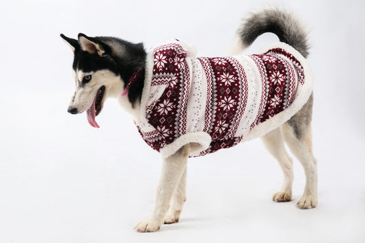 Ropa para Perros Grandes - Golden Retriever, Samoyedo y Pastor Alemán - Image 3