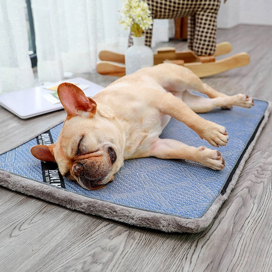 Colchoneta Refrescante para Perros - Mat Gel Frío para Verano - Image 6