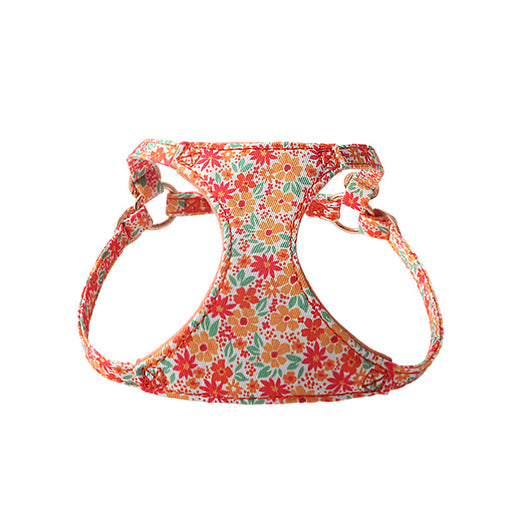 Arnés Floral para Mascotas con Correa de Paseo - Image 11