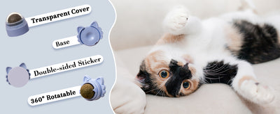 Pelotas de Catnip Adhesivas para Pared - Juguetes Dentales para Gatos - Image 9