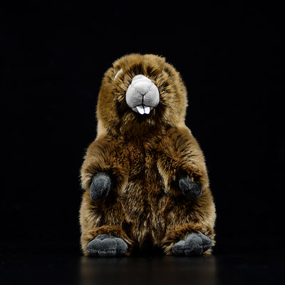 Peluche de Marmota Adorable - Modelo de Animal Realista - Image 7