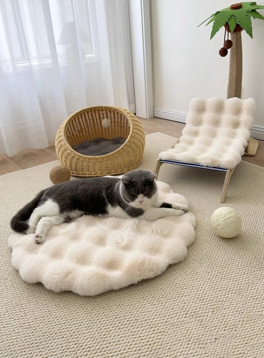 Cama Redonda Térmica para Mascotas - Confort Otoño Invierno - Image 29