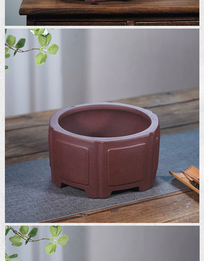 Maceta Hexagonal de Arena Púrpura para Bonsái - Diseño Clásico Minimalista - Image 14