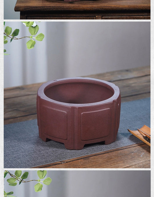 Maceta Hexagonal de Arena Púrpura para Bonsái - Diseño Clásico Minimalista - Image 14