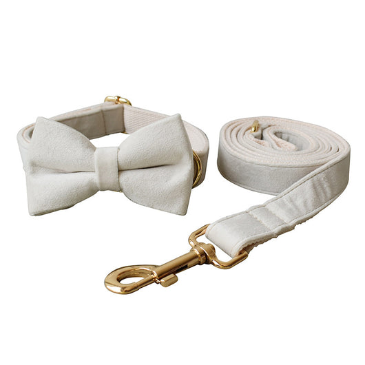Collar de Terciopelo Blanco para Perros con Hebilla de Aleación - Image 11
