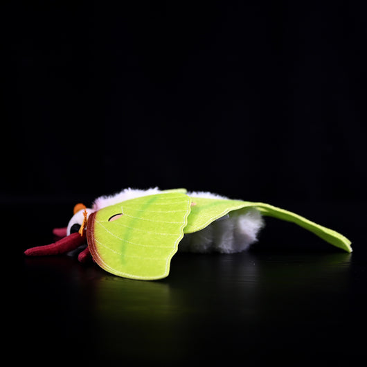 Peluche Polilla Gigante de Cola Verde - Muñeco Insecto Coleccionable - Image 8
