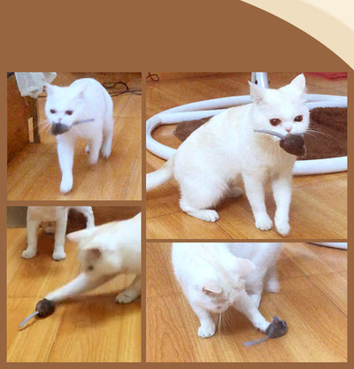Juguete Interactivo con Sonidos de Caza para Mascotas - Image 11