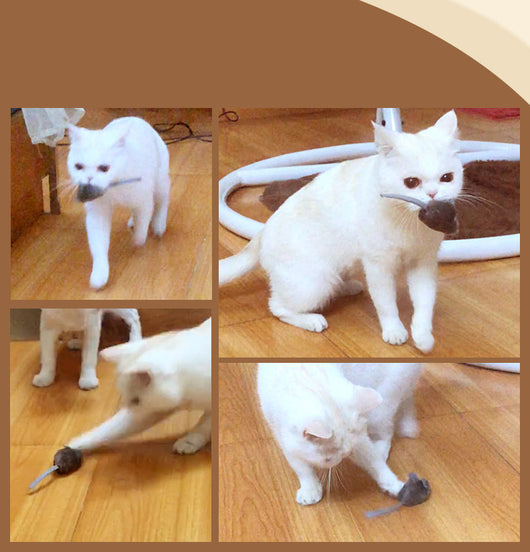 Juguete Interactivo con Sonidos de Caza para Mascotas - Image 11