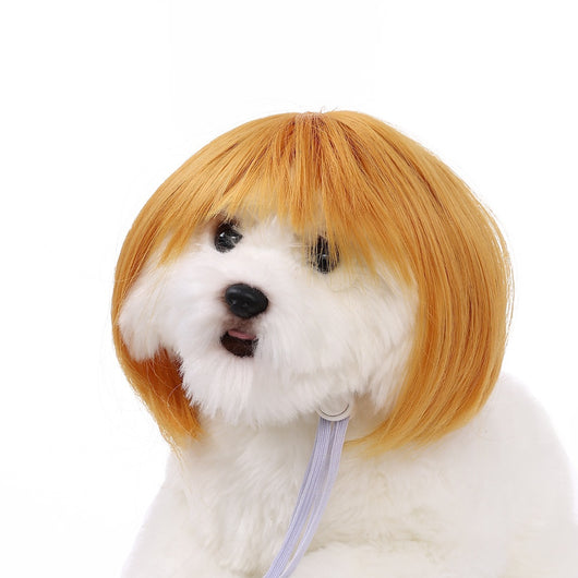 White fluffy dog plush toy wearing a short, straight grey bob wig with bangs and white tie ribbons. - Image 10