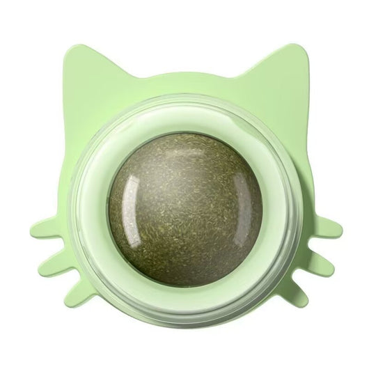 Light blue and light green catnip ball wall toys, shaped like cat faces, with clear domes containing catnip. - Image 2