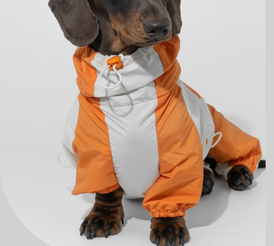 Ropa de Invierno a Juego para Mascotas - Image 10