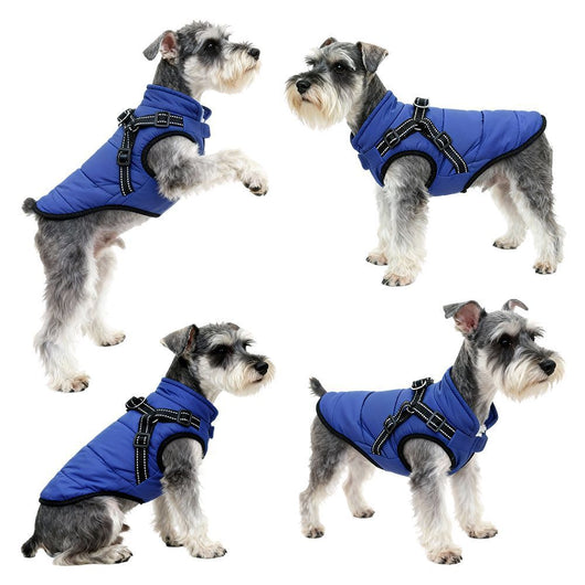 Chaleco Térmico para Perros con Cierre de Seguridad - Abrigo Impermeable para Invierno - Image 14