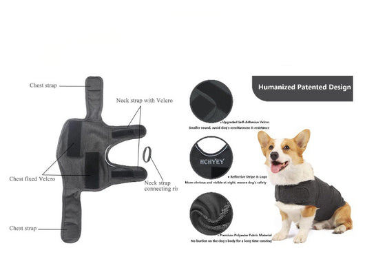 Chaleco Calmante para Perros - Prenda de Compresión contra la Ansiedad - Image 10