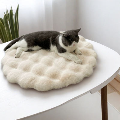 Cama Redonda Térmica para Mascotas - Confort Otoño Invierno - Image 4