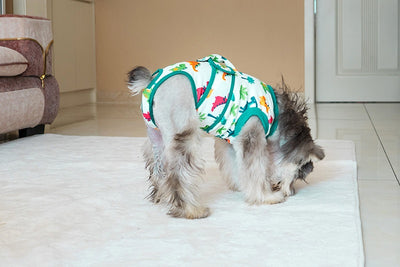Ropa Quirúrgica Protectora para Mascotas - Anti-lamido Universal - Image 16