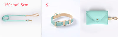Juego de Collar y Correa para Perro en Cuero Premium - Image 19