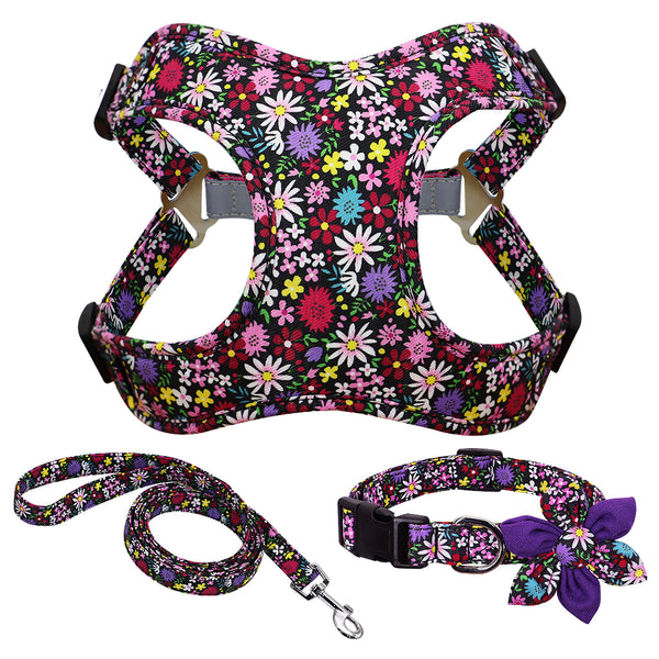 Arnés de Pecho Veststyle con Cuerda y Cadena para Pasear Perros