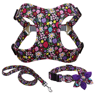 Arnés de Pecho Veststyle con Cuerda y Cadena para Pasear Perros