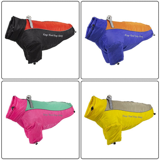 Abrigo Térmico de Polar para Perros - Image 5