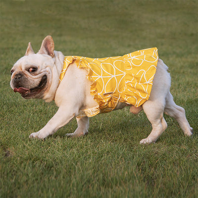 Vestido de Algodón para Mascotas con Estampado Cartoon - Primavera