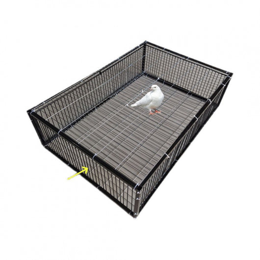 Black wire pigeon cage with a flat top and bottom, designed for one-way entry, shown on a gray surface. - Image 10