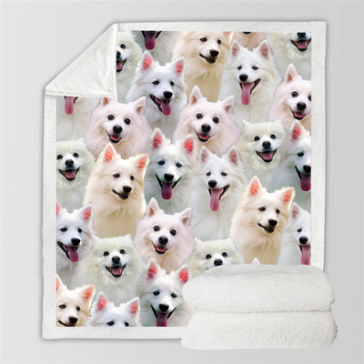 Manta de Franela Estampada para Perros de Diseño Moderno - Image 86