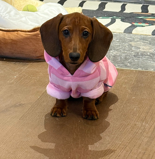 Suéter Hoodie para Mascotas Otoño-Invierno Terciopelo Suave Rayas Rosa - Image 8